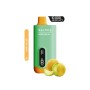 Saltica Ekranlı 10000 Honey Melon Disposable Vape Bar